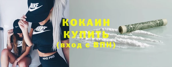 сатива Лабытнанги