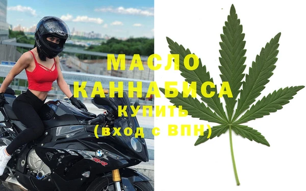 сатива Лабытнанги