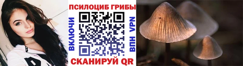 Галлюциногенные грибы Magic Shrooms  Купить закладки  Междуреченск 