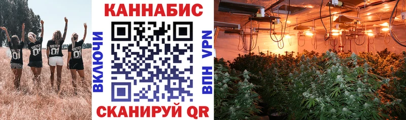 Купить где  Междуреченск  Шишки марихуана White Widow 